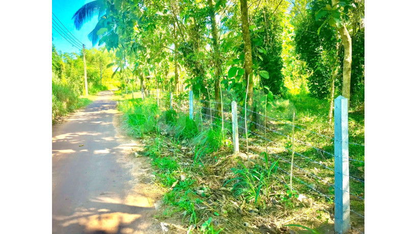 valuable-residential-land-for-sale-in-giriulla-big-0