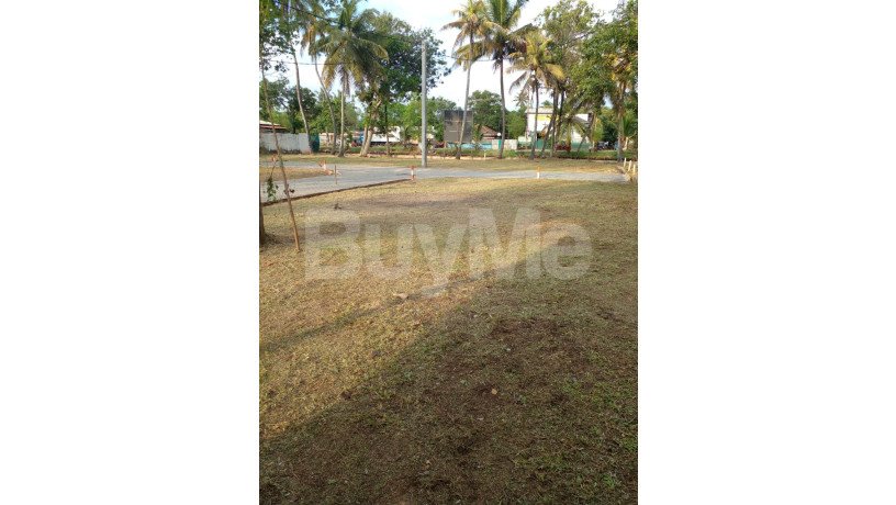 land-for-sale-in-wattala-savi-lands-big-0