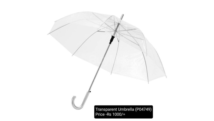transparent-umbrella-big-0