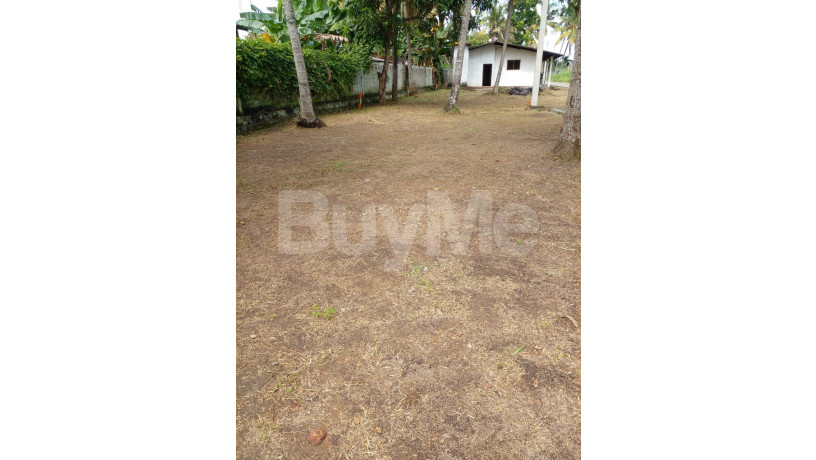 land-for-sale-in-wattala-savi-lands-big-0