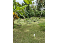 house-for-sale-in-ibbagamuwa-kurunegala-small-5