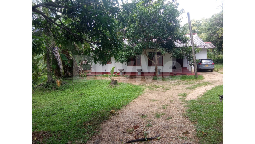 house-for-sale-in-ibbagamuwa-kurunegala-big-0