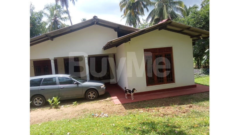 house-for-sale-in-ibbagamuwa-kurunegala-big-1