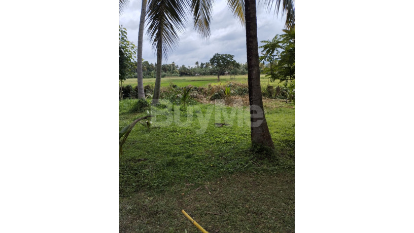 house-for-sale-in-ibbagamuwa-kurunegala-big-3