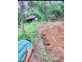 land-for-sale-in-wennappuwa-small-3