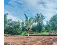 land-for-sale-in-wennappuwa-small-2