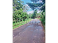 land-for-sale-in-wennappuwa-small-4