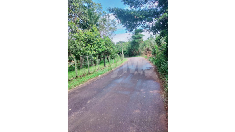 land-for-sale-in-wennappuwa-big-4
