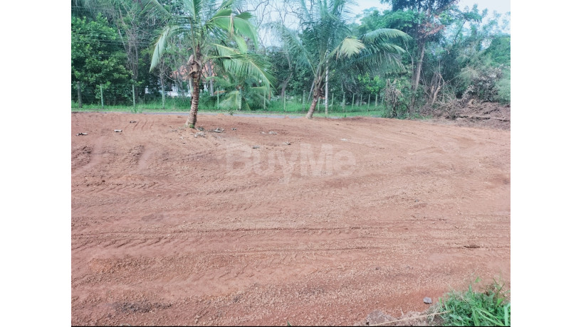 land-for-sale-in-wennappuwa-big-7