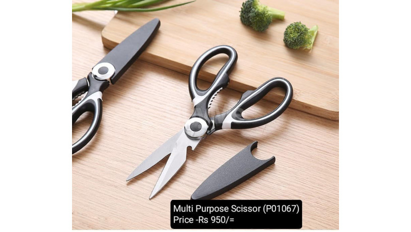 multi-purpose-scissor-big-0