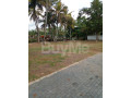 land-for-sale-in-wattala-savi-lands-small-0