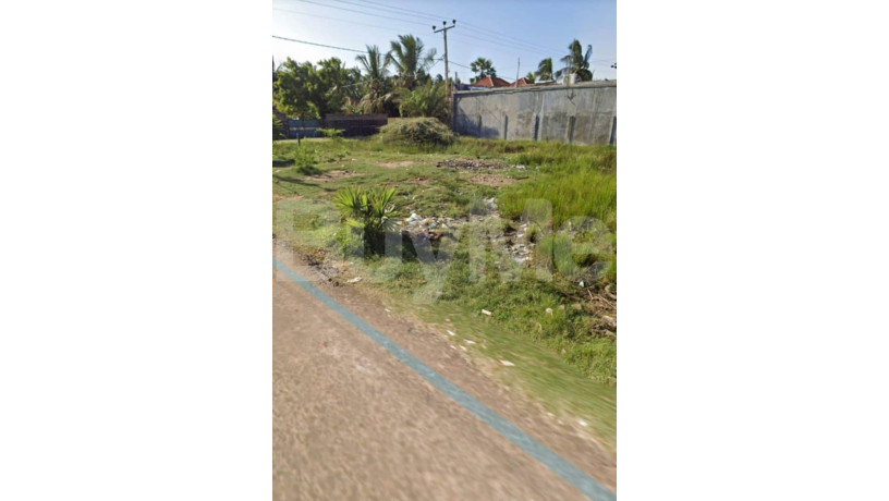 land-for-sale-in-mannar-big-4