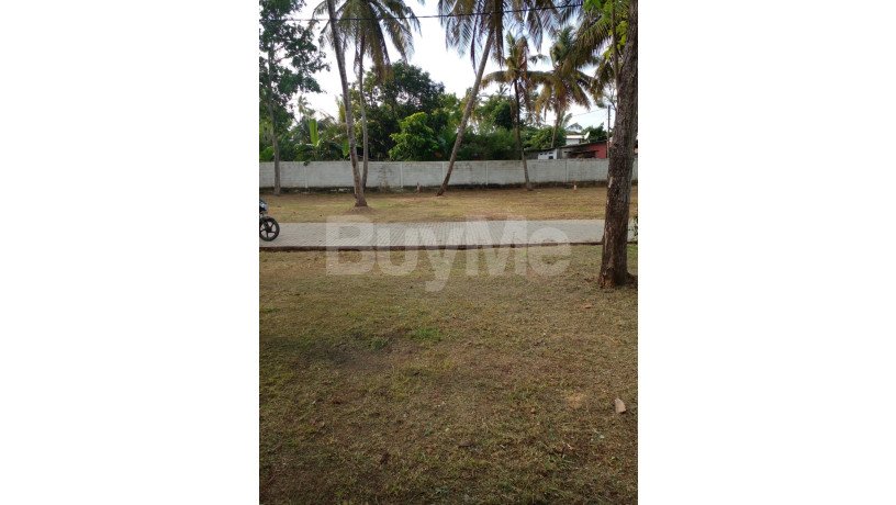 land-for-sale-in-wattala-savi-lands-big-0