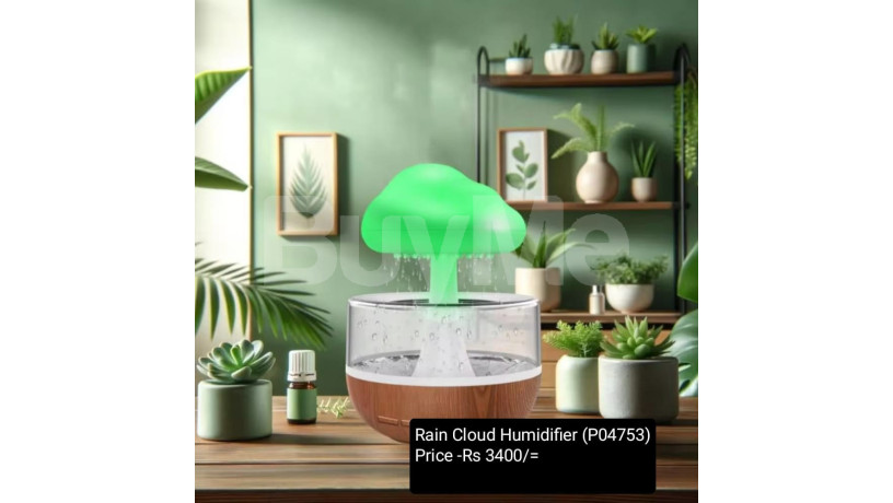 rain-cloud-humidifier-big-0