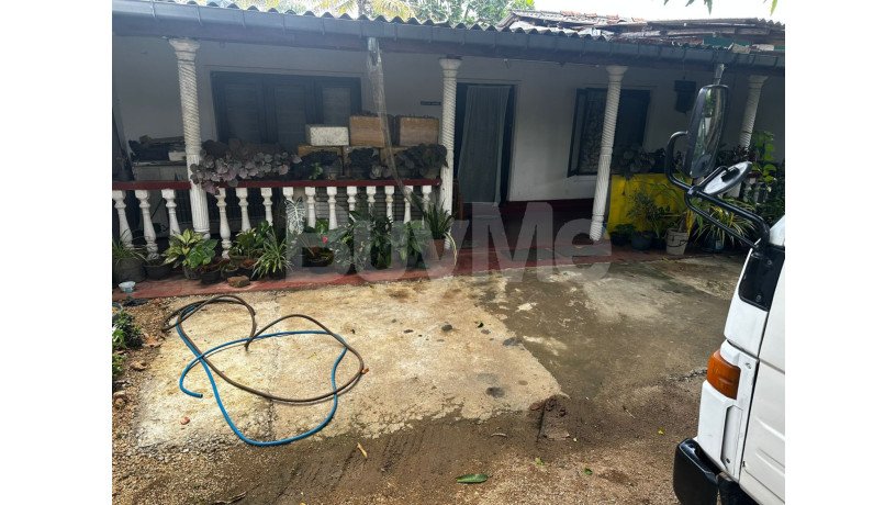 valuable-land-house-for-sale-in-kurunegala-mallawapitiya-big-2