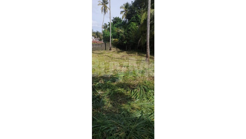 valuable-15-perch-freehold-land-for-sale-in-kurunegala-thoraya-big-0