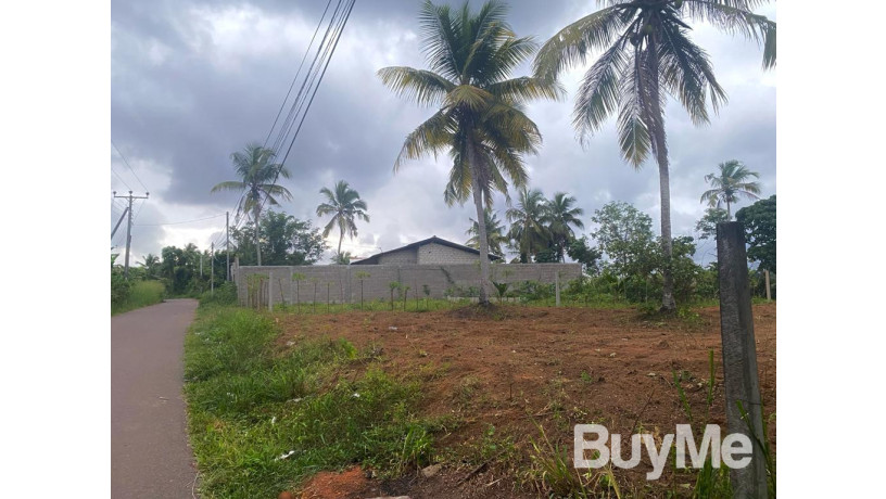 land-for-sale-in-niwandama-ja-ela-big-1