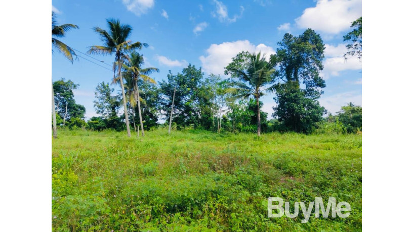 land-for-sale-in-niwandama-ja-ela-big-2