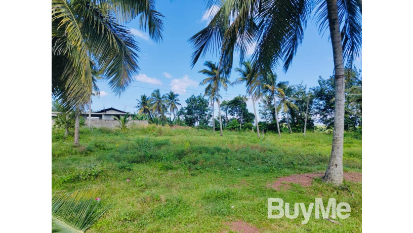 land-for-sale-in-niwandama-ja-ela-big-3