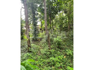 LAND FOR SALE IN KUNDASALE