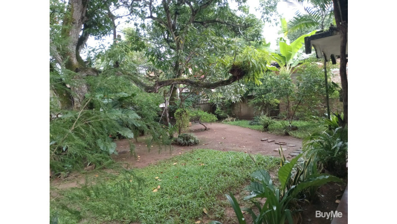 valuable-land-for-sale-with-house-big-0