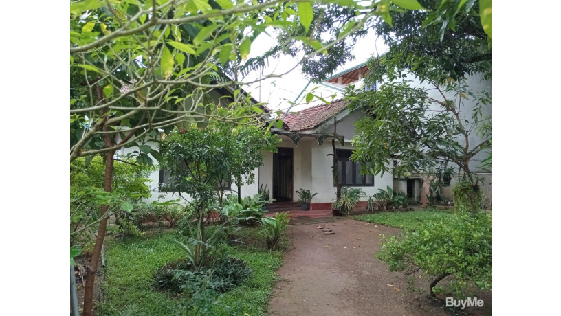 valuable-land-for-sale-with-house-big-1