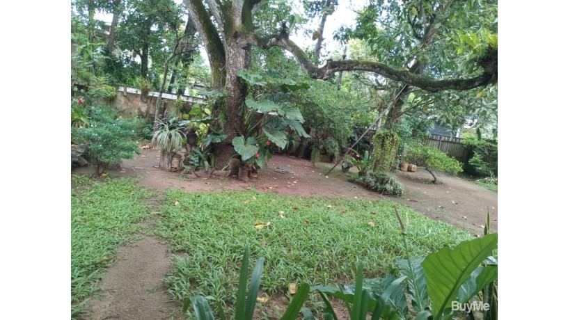 valuable-land-for-sale-with-house-big-4