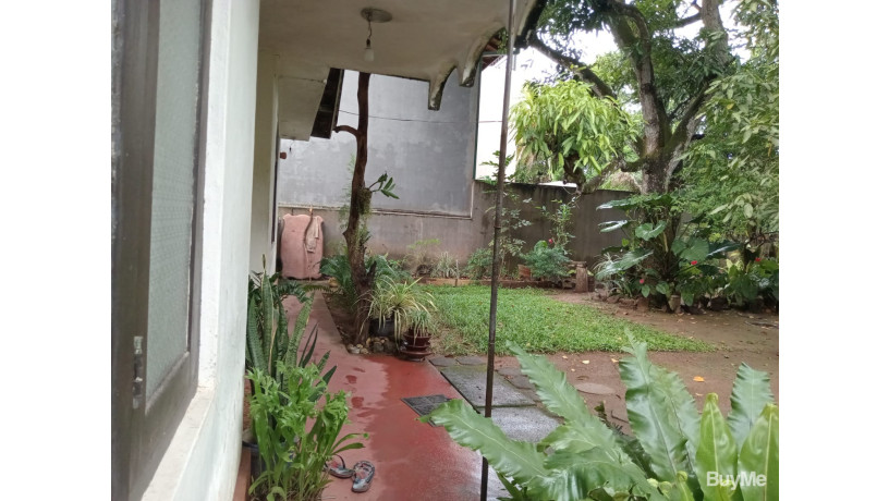 valuable-land-for-sale-with-house-big-3