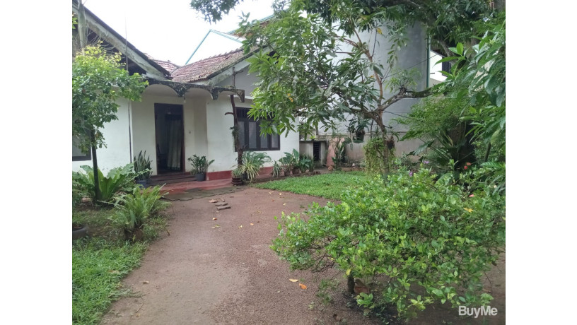 valuable-land-for-sale-with-house-big-2