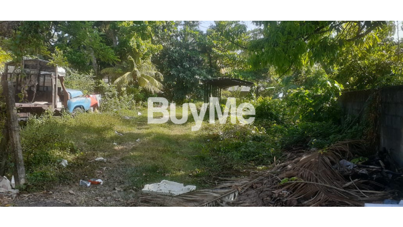 land-for-sale-in-matara-nadugala-big-1