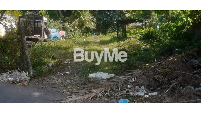 land-for-sale-in-matara-nadugala-big-2