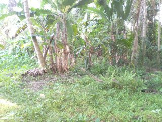 LAND FOR SALE IN RAGAMA MAHARANUGEGODA