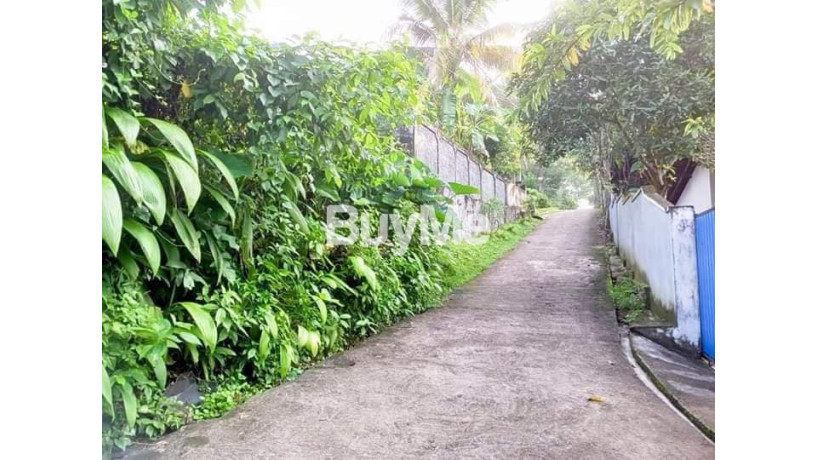 land-for-sale-in-kalutara-palathota-big-2