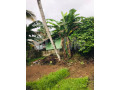 land-for-sale-with-house-in-kadawatha-small-2