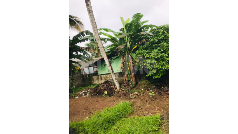 land-for-sale-with-house-in-kadawatha-big-2