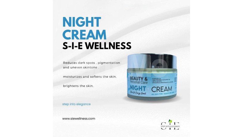 s-i-e-wellness-night-cream-big-0