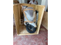 honda-pcx-2024-small-0