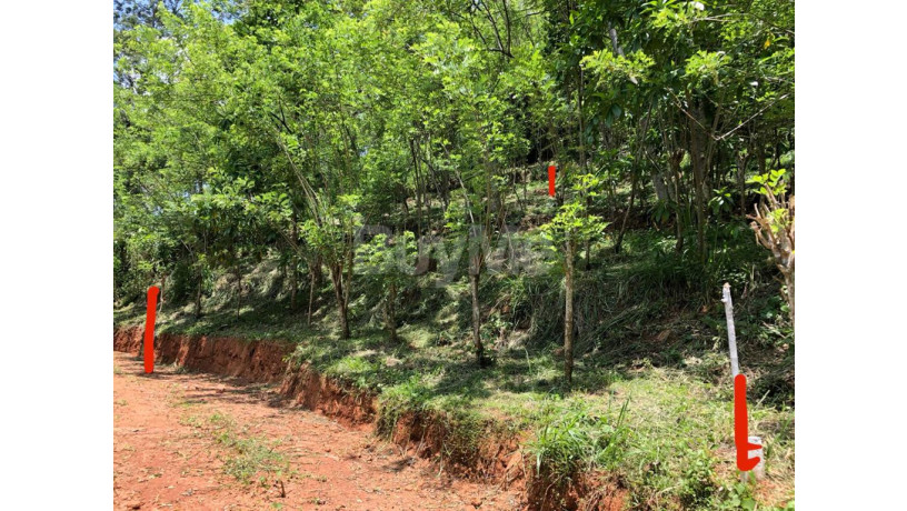 land-for-sale-in-gelioya-town-kurunduwatta-kandy-big-5