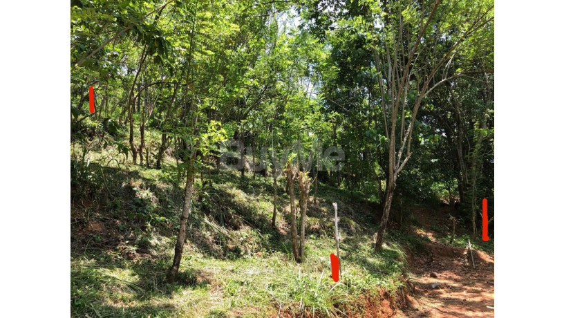 land-for-sale-in-gelioya-town-kurunduwatta-kandy-big-7