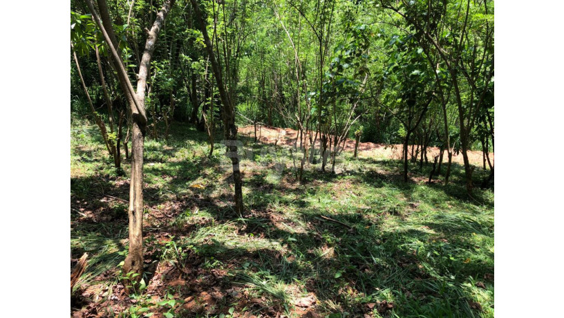 land-for-sale-in-gelioya-town-kurunduwatta-kandy-big-4