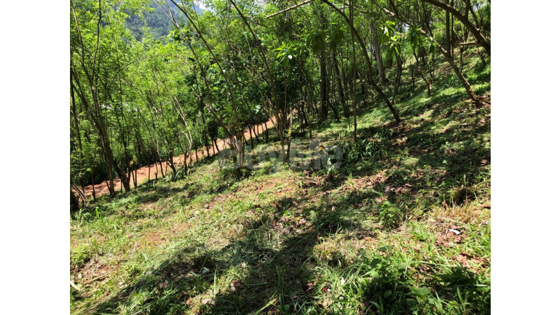 land-for-sale-in-gelioya-town-kurunduwatta-kandy-big-1