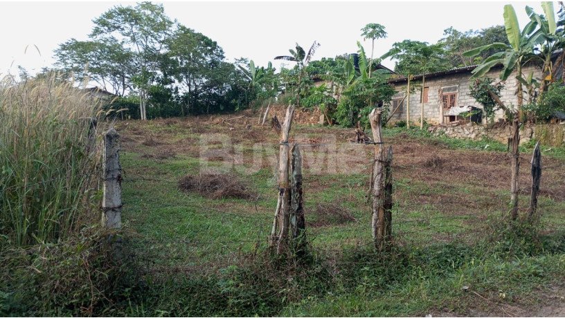 valuable-30-perch-land-for-sale-in-horana-maha-uduwe-court-road-big-4