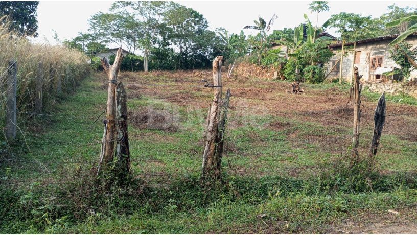 valuable-30-perch-land-for-sale-in-horana-maha-uduwe-court-road-big-1