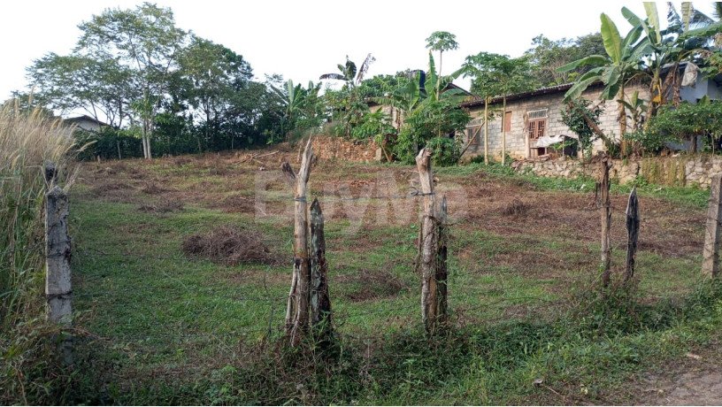 valuable-30-perch-land-for-sale-in-horana-maha-uduwe-court-road-big-5