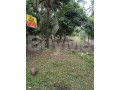 land-for-sale-in-gampaha-small-0