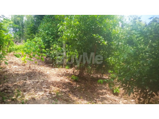 LAND FOR SALE NEAR MATARA NEW HOSPITAL (LABEEMA)