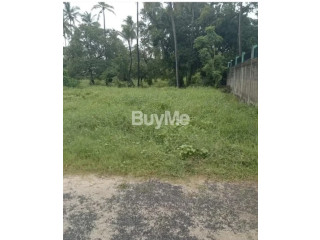 VALUABLE LAND FOR SALE IN KATTUWA, NEGOMBO