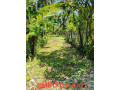 land-for-sale-in-ja-ela-small-0