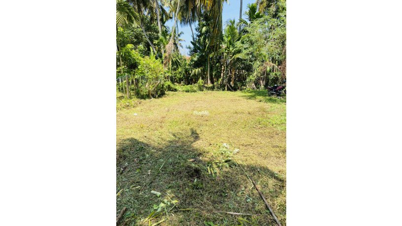 land-for-sale-in-ja-ela-big-1