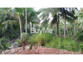 land-for-sale-in-unawatuna-small-2